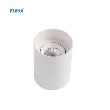 Modern Surface Mounted Ceiling Aluminium Alloy Led Downlight
